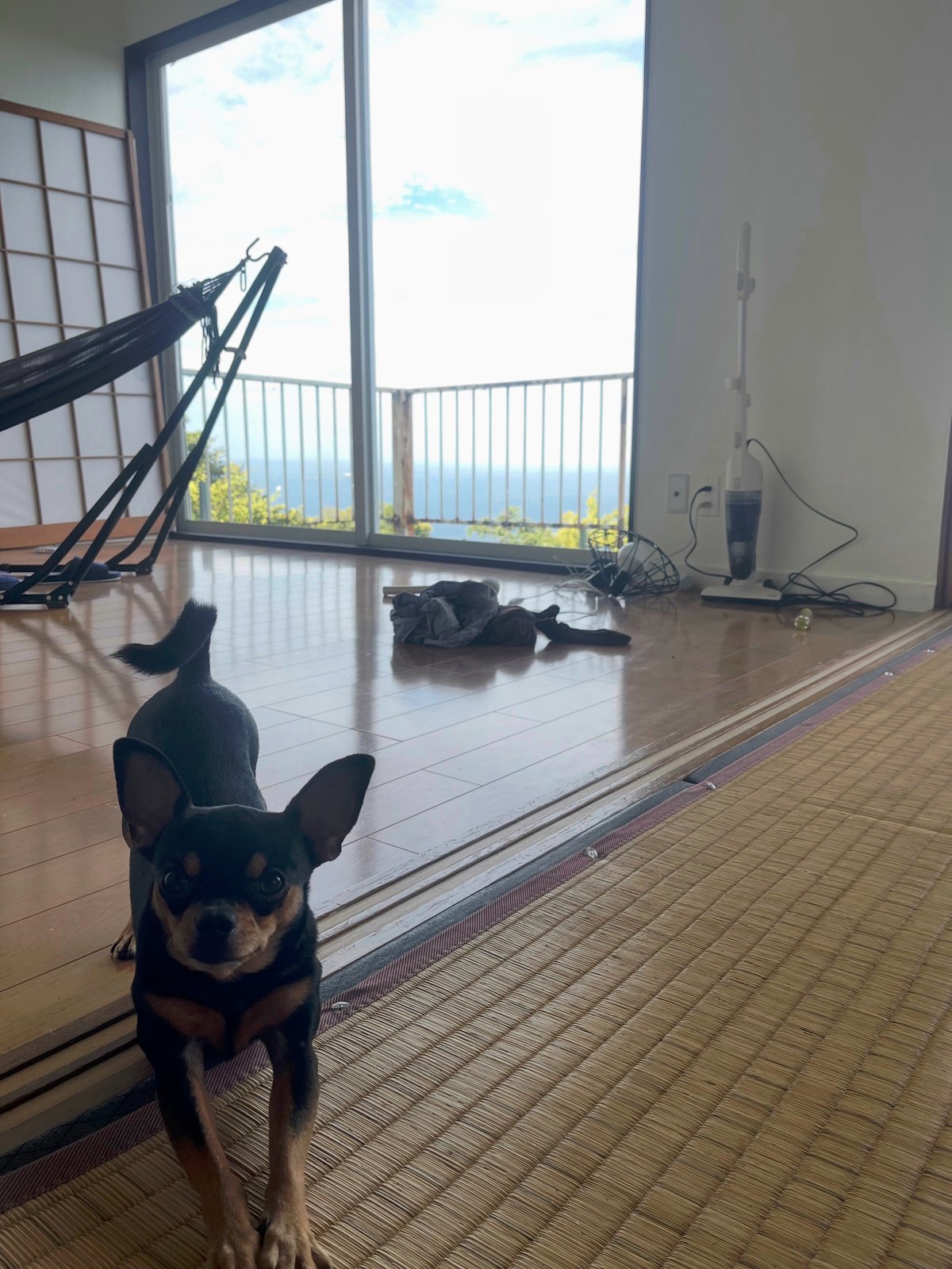 家の中で立つクロム