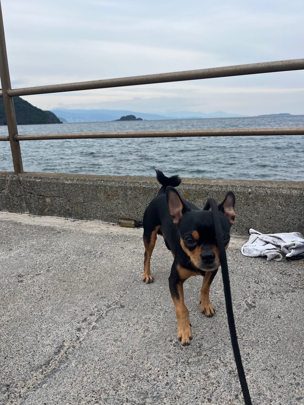 海辺の道に立つクロム